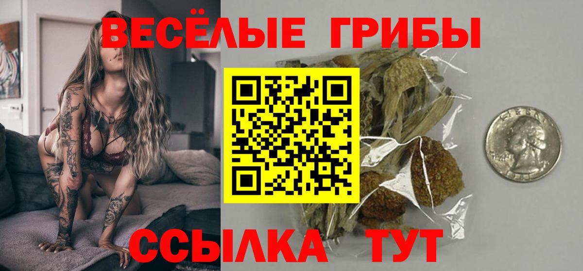 Псилоцибиновые грибы Psilocybe  Вход с VPN  Карачаевск 
